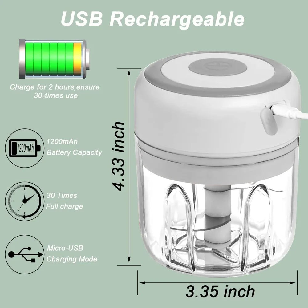 Electric Garlic Mincer 250ML Vegetable Chopper Food