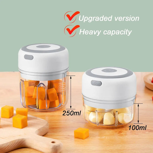 Electric Garlic Mincer 250ML Vegetable Chopper Food