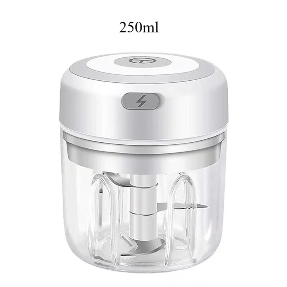 Electric Garlic Mincer 250ML Vegetable Chopper Food